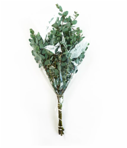 Continental Floral Greens 4 Stem Eucalytus Perspective: back