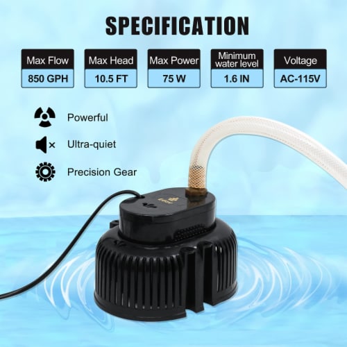 EDOU BLACK DIRECT Pool Cover Pump | HEAVY DUTY | 850 GPH | 75 W | 16' Hose & Adapters Perspective: back