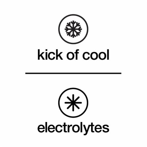 Vitaminwater® Zero Electrolyte Enhanced Ice Blueberry Lavender Flavored Bottled Water Perspective: back