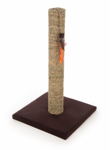 SmartyKat Simply Scratcher Scratching Post with Feather Toy for Cats - Seagrass Perspective: back