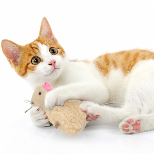 SmartyKat® Madcap Mania™ Refillable Mouse Catnip Cat Toy Perspective: back