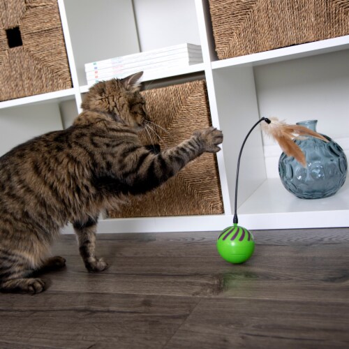 SmartyKat Feather Whirl Electronic Motion Ball Perspective: back