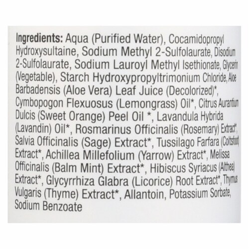 Beauty Without Cruelty Daily Benefits Shampoo - 16 fl oz. Perspective: back