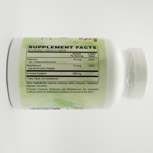 Holly Hill Health Foods, NAC 600 (N-Acetyl Cysteine), 120 Vegetarian Capsules Perspective: back