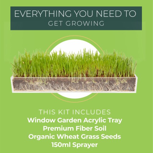 Window Garden Sango Purple Radish Grow Kit - Plant Home Garden, Juice Healthy Shots Perspective: back