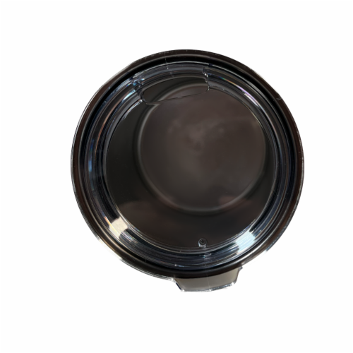 10oz Stainless Steal Coffee Cup - Rainbow Concha - Dont Be Self-Conchas, Be Proud Of You Perspective: back