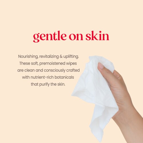 Burts Bees Purifying White Tea Facial Towelettes Perspective: back