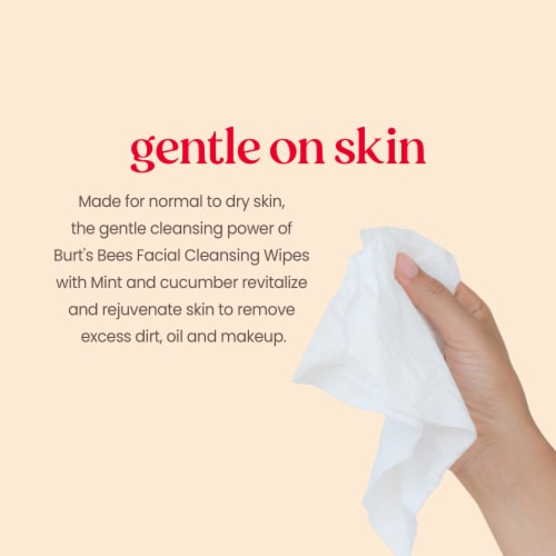 Burt's Bees Refreshing Facial Towelettes Perspective: back