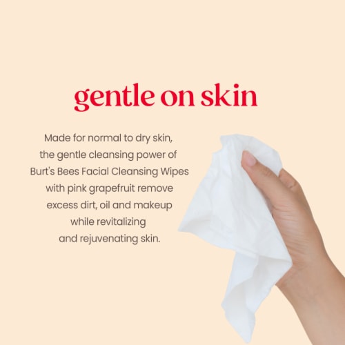 Burt's Bees Clarifying Facial Towelettes Perspective: back
