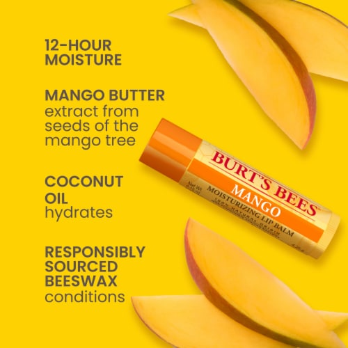 Burt's Bees Flavored Moisturizing Lip Balm Pack Perspective: back