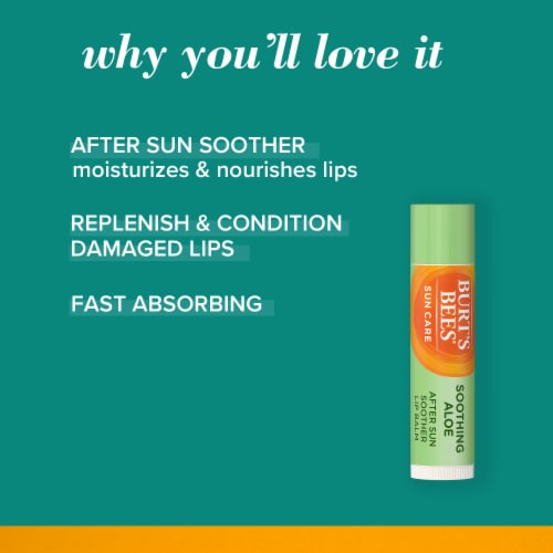Burts Bees Sun Care Soothing Aloe Lip Balm Perspective: back