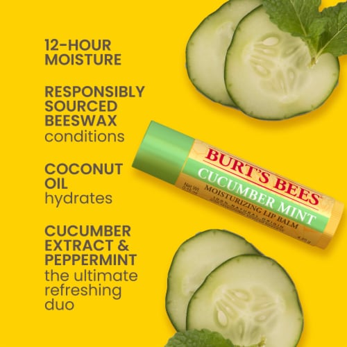 Burt's Bees Cucumber Mint Moisturizing Lip Balm Perspective: back