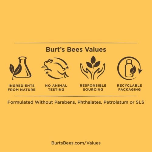 Burts Bees Cooling Aloe and Hemp Shave Cream For Men Perspective: back