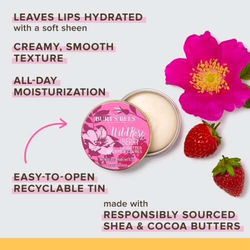 Burt's Bees Moisturizing Wild Rose and Berry Lip Butter Perspective: back
