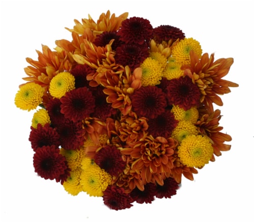 Jumbo Poms Assorted Bouquet Perspective: back