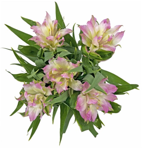 Astronova Floral Arrangement Perspective: back