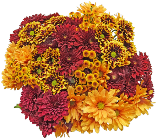 Fresh Picked Poms Fresh Cut Flower Bouquet Perspective: back