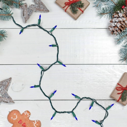 GKI/Bethlehem Lighting 100-Count Blue Mini Christmas Light Set, 45.5ft Green Wire Perspective: back