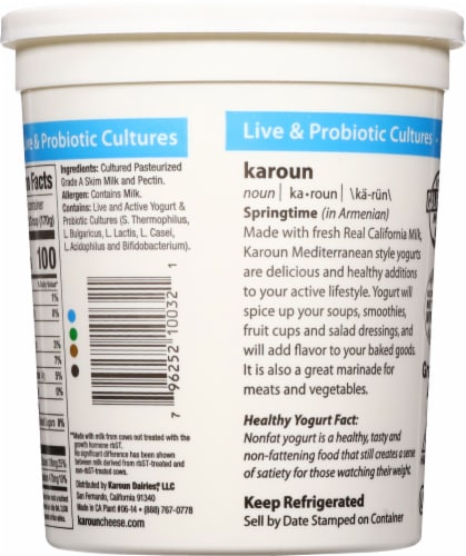 Karoun® Dairies Nonfat Yogurt Perspective: back