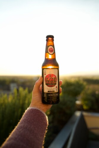 Ace Fermented Apple Cider Perspective: back