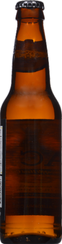 Ace Pineapple Hard Cider Perspective: back
