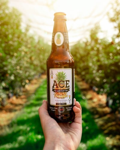 Ace Pineapple Hard Cider Perspective: back