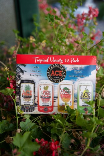 Ace Cider Variety Pack Perspective: back