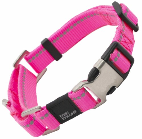 Pet Life Advent Outdoor Series Reflective Durable Martingale Training Dog Leash and Collar Perspective: back