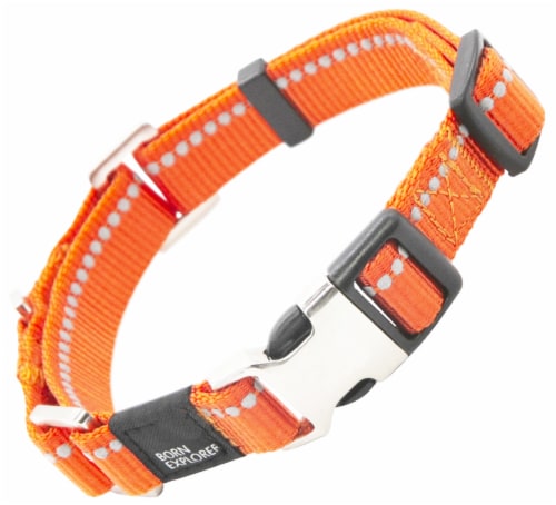 Pet Life Advent Outdoor Series Reflective Durable Martingale Training Dog Leash and Collar Perspective: back