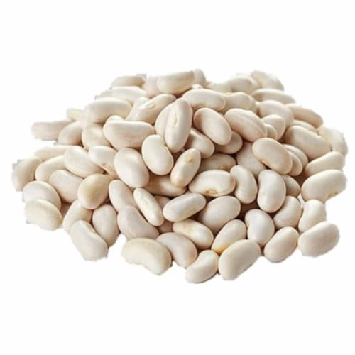 Aiva Navy Bean 2 lb Perspective: back
