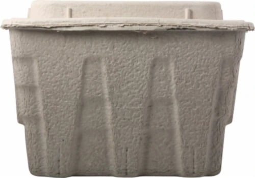 Footprint® Ecooler 100% Plant-Based Cooler Perspective: back