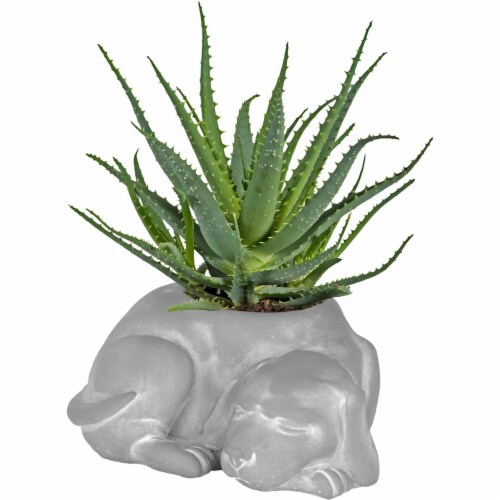Classic Home And Garden Cement Buddies Indoor Outdoor Planter With Drainage Hole Turtle Rust Small 6in~14498766 A03$nowa