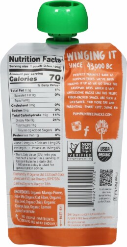 Pumpkin Tree™ Organic Mango Puree With Oat Fiber & Seeds + A Squeeze Of Orange Pouch Perspective: back