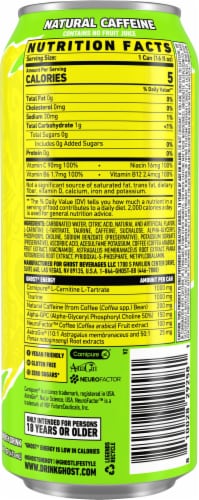 Ghost® Zero Sugar Citrus Energy Drink Can Perspective: back