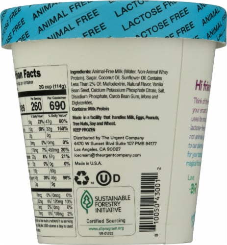 Brave Robot Vanilla Animal-Free Ice Cream Perspective: back