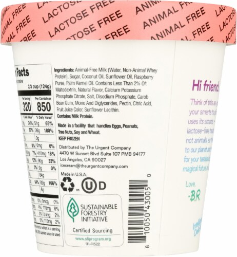 Brave Robot Raspberry White Truffle Animal-Free Ice Cream Perspective: back