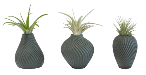 LiveTrends Potted Succulent Perspective: back