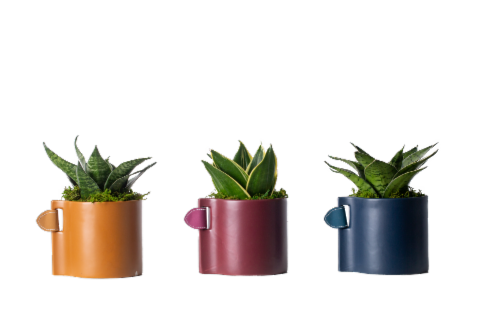 LiveTrends Agatha Leather Planter - Assorted Perspective: back