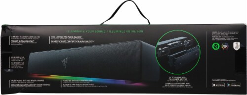 Razer Leviathan V2 X - PC Speakers Perspective: back