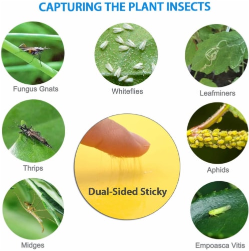 20-Pack Dual-Sided Yellow Sticky Traps Flying Plant Insect Fungus Gnats Whiteflies Aphids Perspective: back