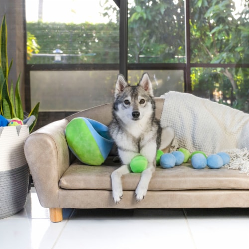 Midlee Hide a Ball Dog Toy - Blue/Green (Large) Perspective: back