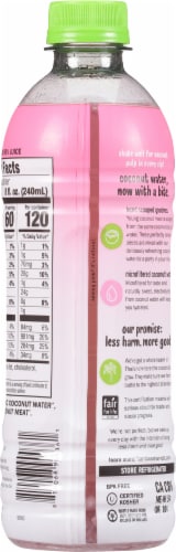Harmless Harvest® Organic Coconut Bottled Water Perspective: back