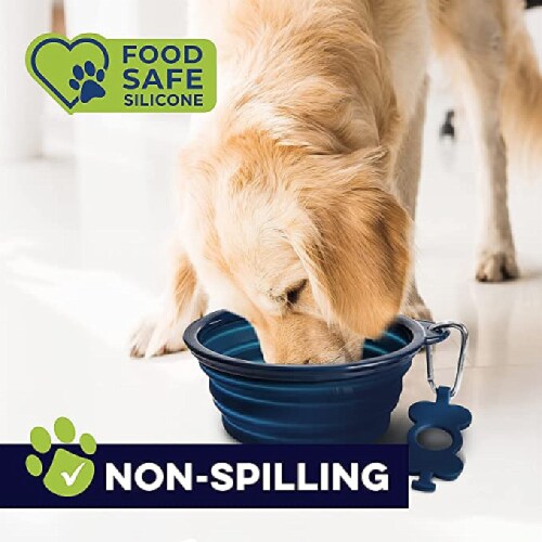 Bonza Collapsible Dog Bowl Large Large Smith s Food and Drug