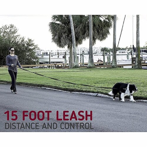 10 foot leash outlet