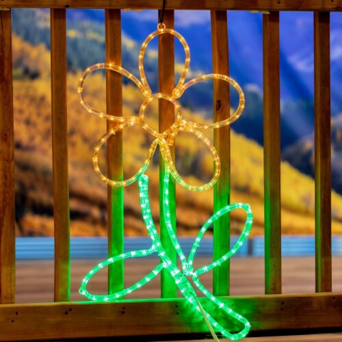Cool novelty lights hotsell
