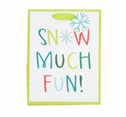 Seasonal Celebrations Snow Much Fun Value Cub Gift Bag Perspective: back