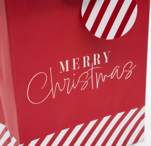 Seasonal Celebrations Merry Christmas Value Cub Gift Bag Perspective: back