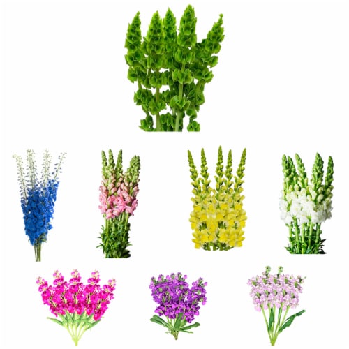 Premium Linear Flower Bunch Perspective: back
