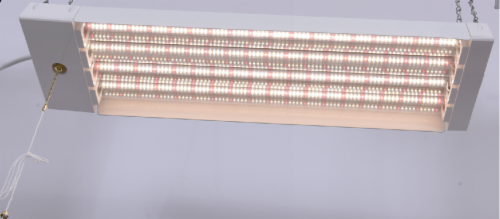Green Watt Red & Blue Spectrum LED Grow Light Perspective: back