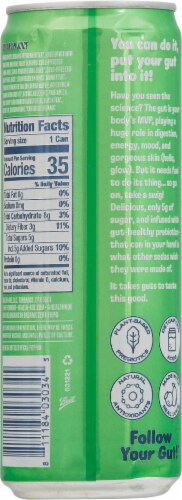 Health-Ade Lemon + Lime Pop™ Perspective: back